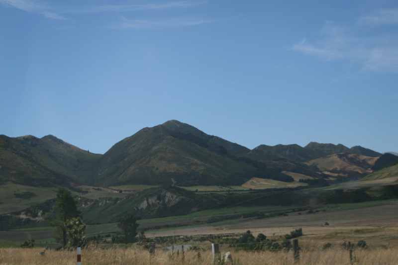 Nieuw-Zeeland 2011 - 1277